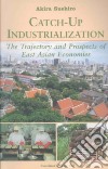 Catch-Up Industrialization