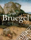 Bruegel in Detail Bruegel in Detail