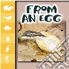 From an Egg From an Egg