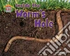 Inside the Worm’s Hole Inside the Worm’s Hole