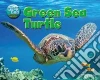 Green Sea Turtle Green Sea Turtle