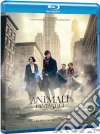 (Blu-Ray Disc) Animali Fantastici E Dove Trovarli dvd