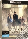 Animali Fantastici E Dove Trovarli (Blu-Ray 4K Ultra HD+Blu-Ray) dvd