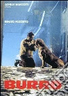Burro dvd