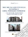 Due dei palazzi più belli di Napoli e l'ing. Tommaso Cotronei. E-book. Formato PDF Due dei palazzi più belli di Napoli e l'ing. Tommaso Cotronei. E-book. Formato PDF