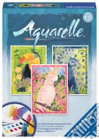 Aquarelle - serie midi - uccelli esotici Aquarelle - serie midi - uccelli esotici