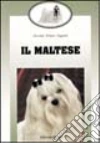 Il maltese libro