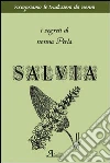 Salvia. I segreti di nonna Perla Salvia. I segreti di nonna Perla