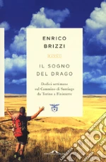 Il sogno del drago. Dodici settimane sul Cammino di Santiago da Torino a Finisterre